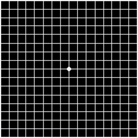 amsler rejilla degeneracion macular rejilla amsler