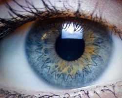 transplante cornea